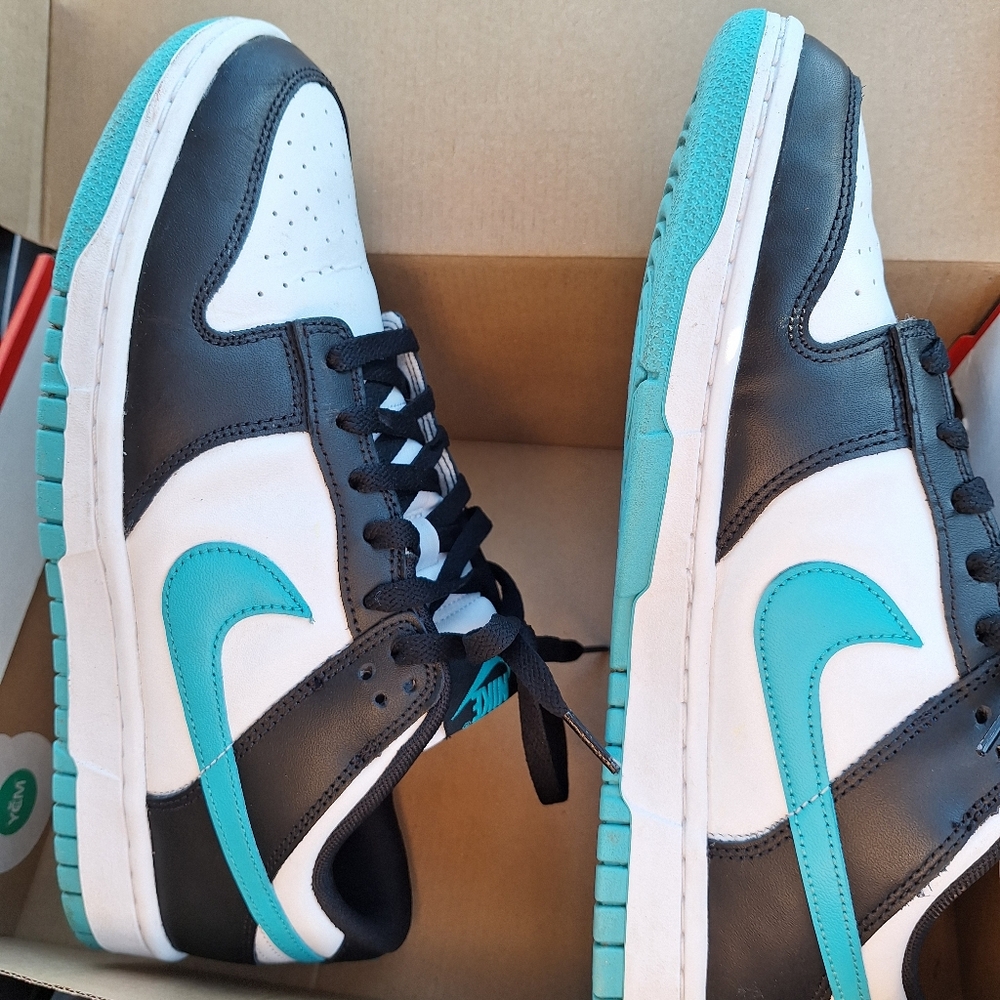 NIKE DUNK LOW RETRO SHOES